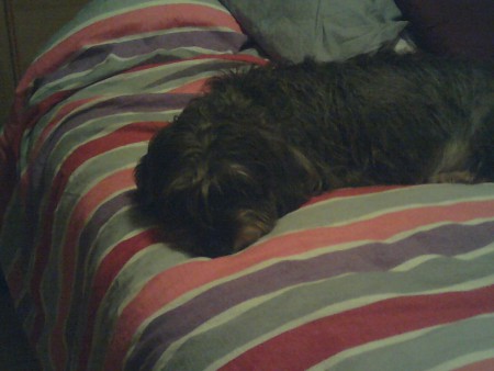 la revoici sur mon lit